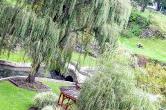 Exterior overhead shot of the sunken gardens.