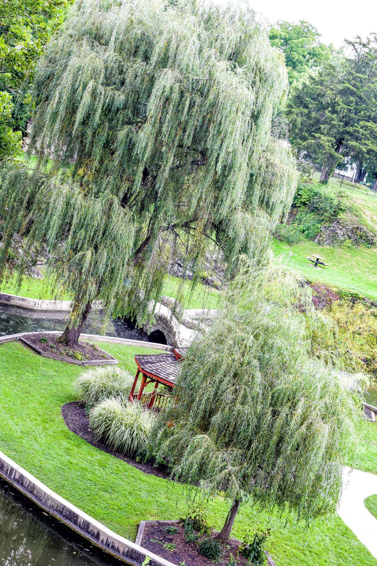 Exterior overhead shot of the sunken gardens.