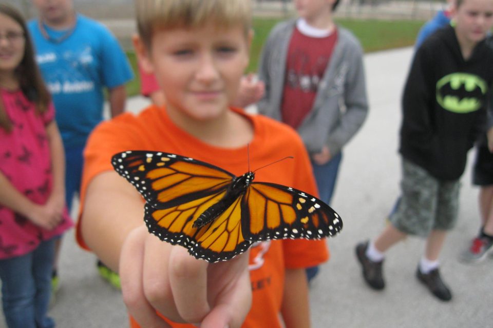 Blond boy wearing an orange shirt with a monarch butterfly perched on his finger.