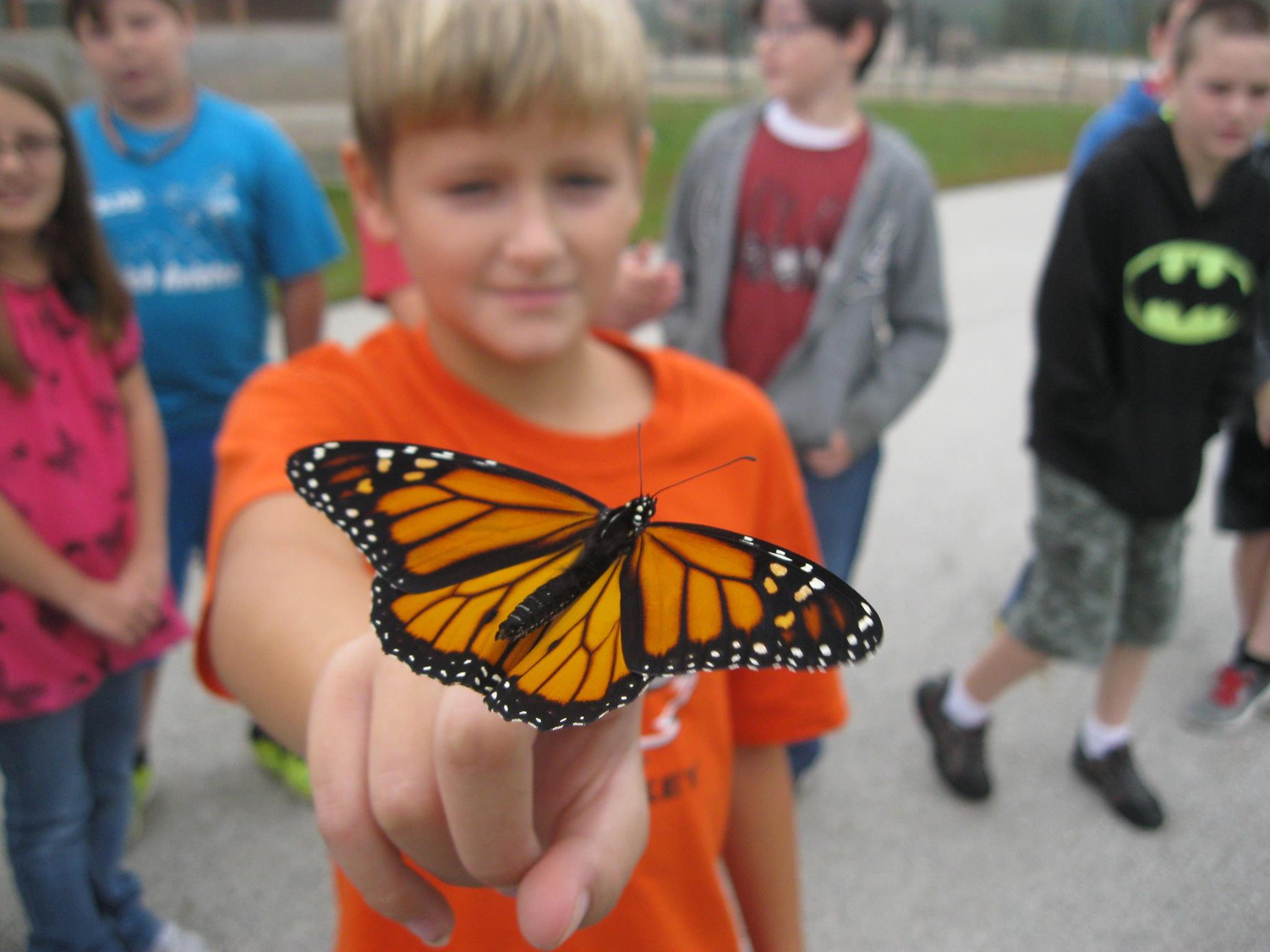 Blond boy wearing an orange shirt with a monarch butterfly perched on his finger.